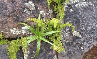 Sustainable Projects