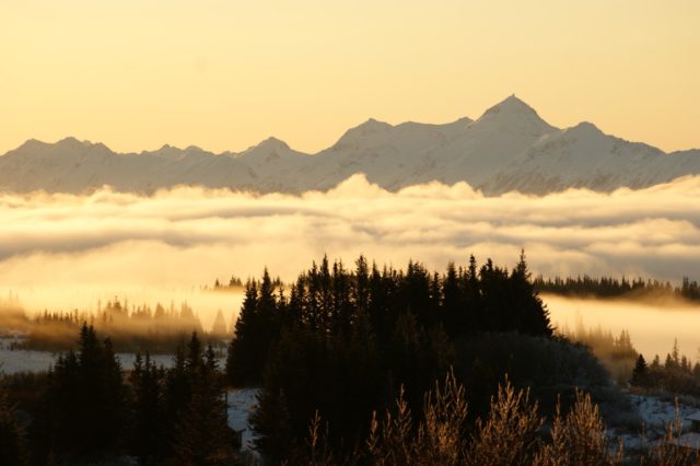 Global Peace Sanctuary