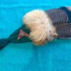Feather Fans - Image 14