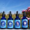 Hummingbird Flower Essences Set