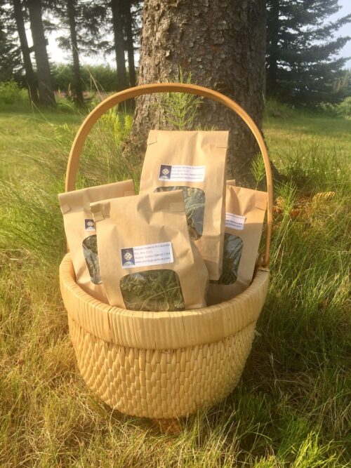 Organic Wild Harvested Yarrow - Image 3