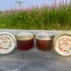 Raspberry White Currant Rhubarb Jelly