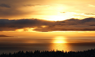 RFMS Online Courses