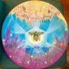 Hand Painted - Hoop Drums - Image 18